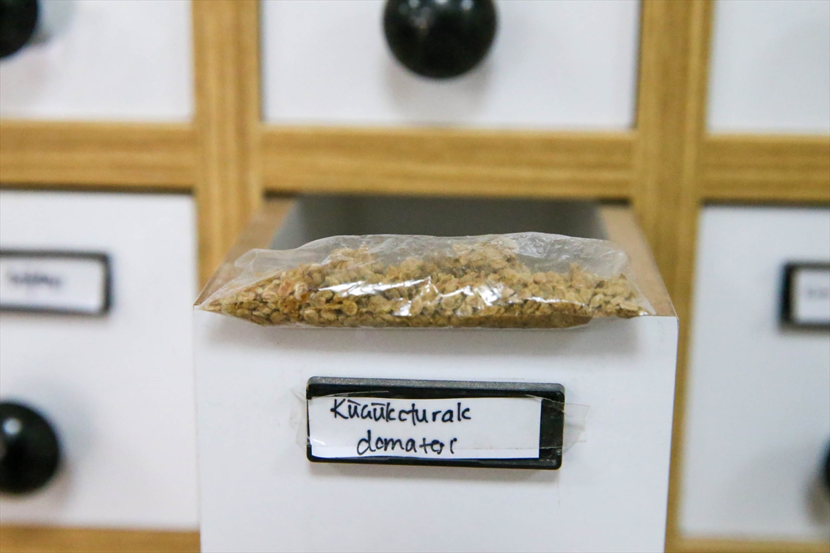 Banaz Halk Kütüphanesi, IFLA Yeşil Kütüphane'de 4 Ülkeye Karşı Yarışıyor 6