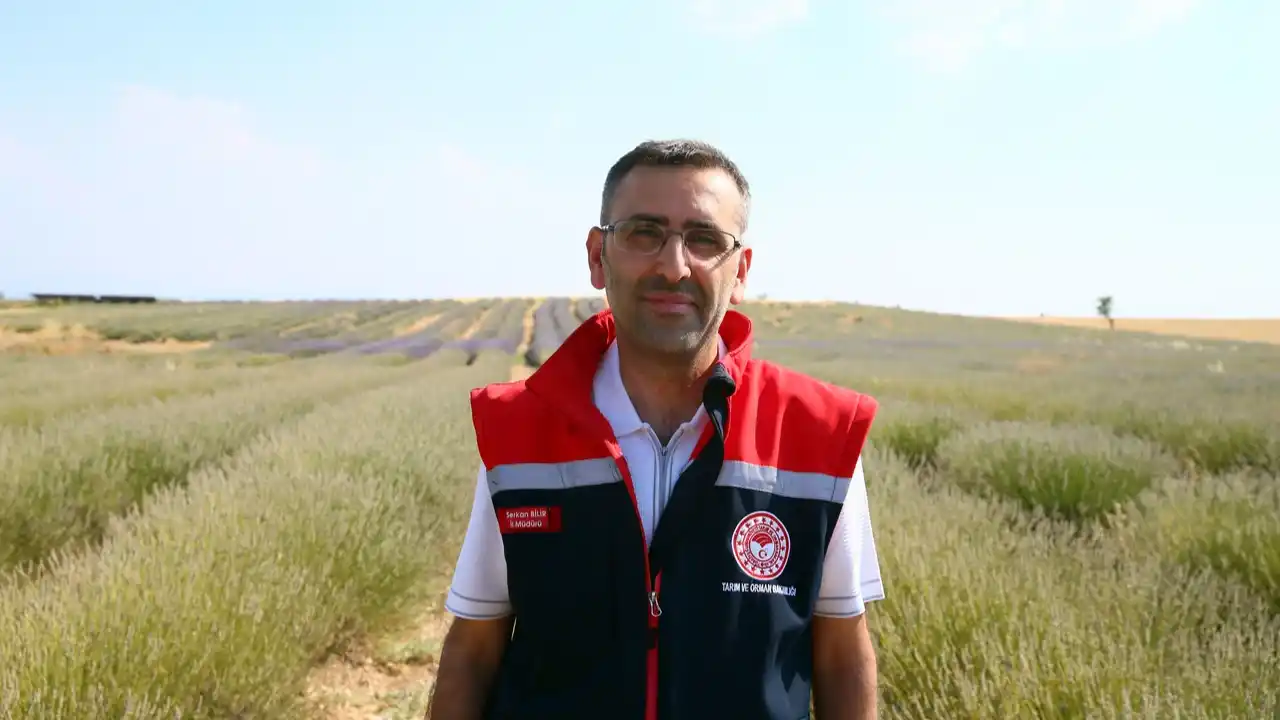 Uşak’ta Mor Bahçeler: Lavanta Tarımının Büyüleyici Dönüşümü 5