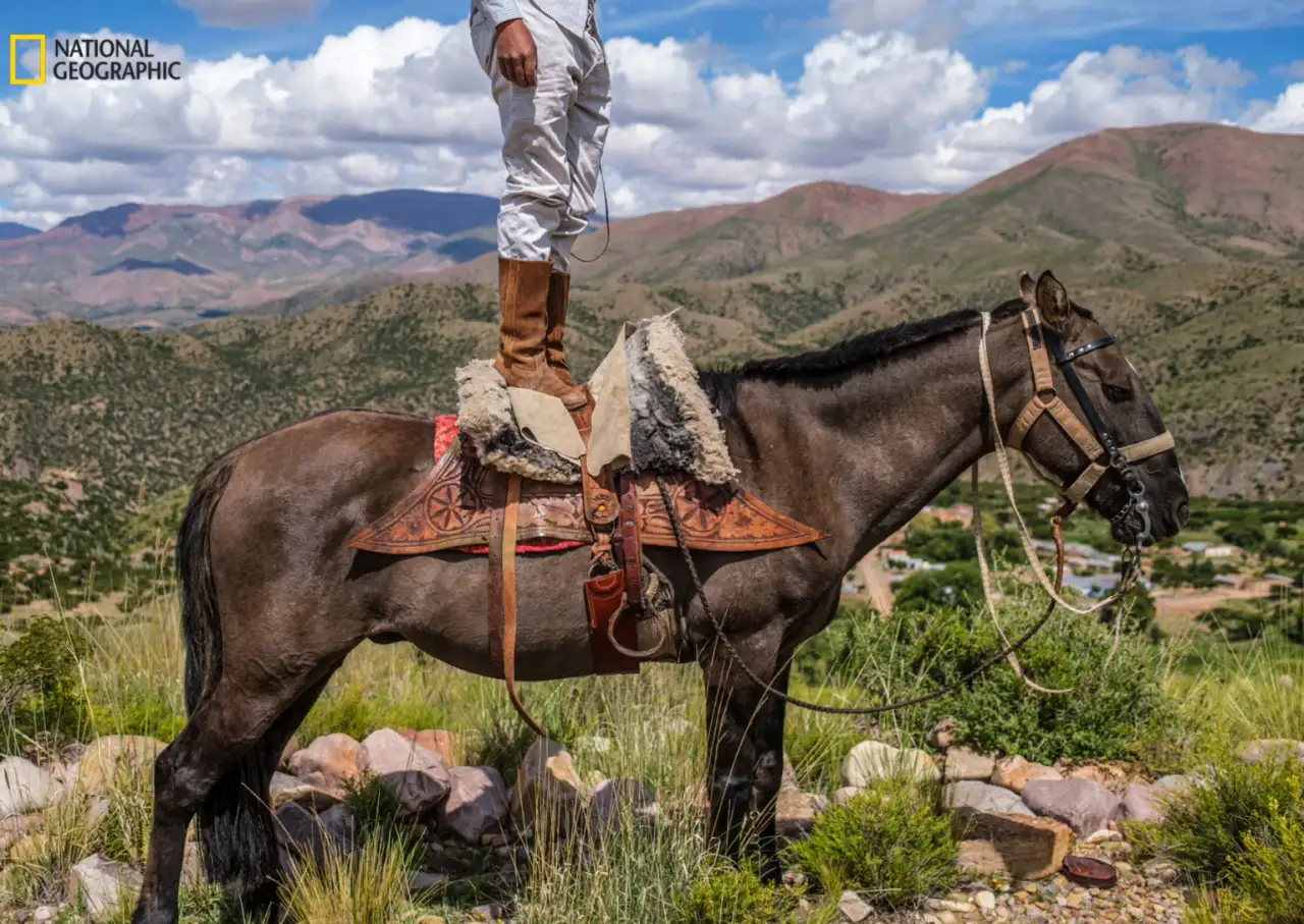 National Geographic’in Yılın Fotoğrafları: Büyüleyici 5 Kare 2