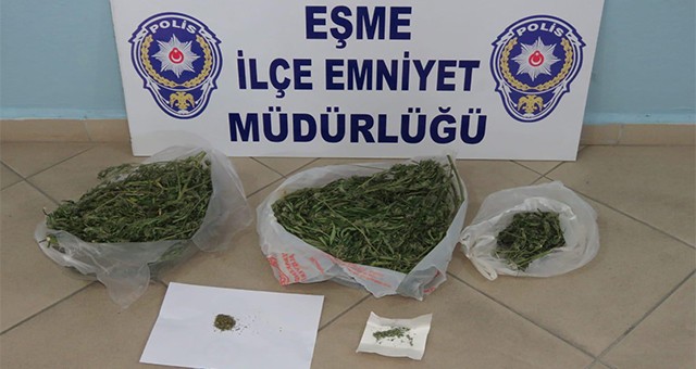 Uşak'ta uyuşturucu operasyonu