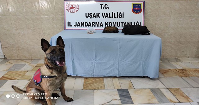 Yolcu otobüsünde uyuşturucu ele geçirildi