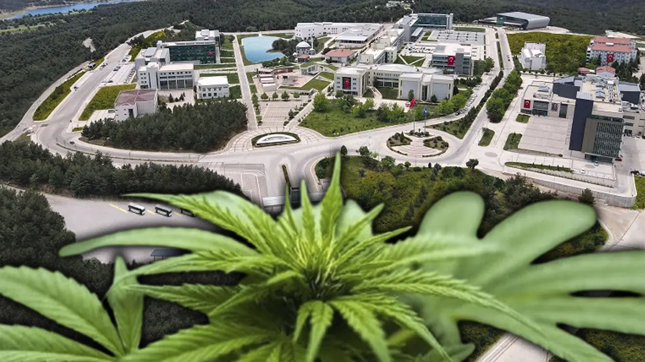 Uşak Üniversitesi'nde Kenevir Konuşuldu!