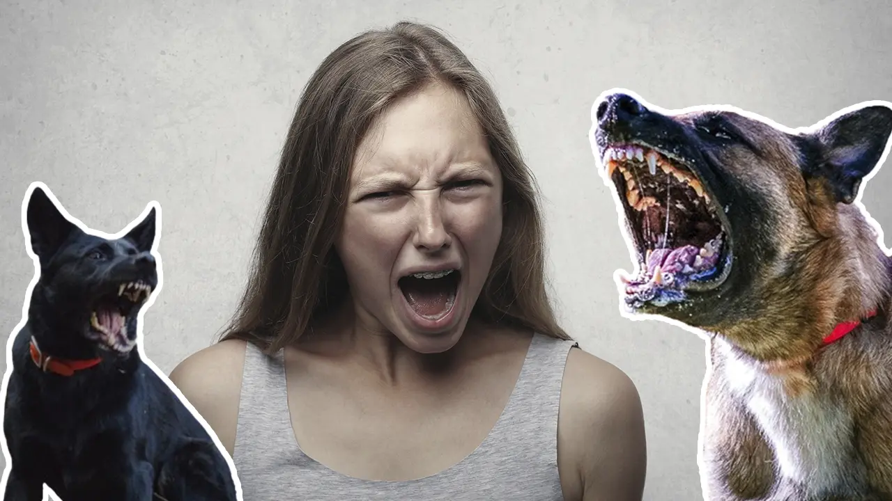 Ölümcül Tehlike: Kuduzun Pençesindeki Viral Kâbus!