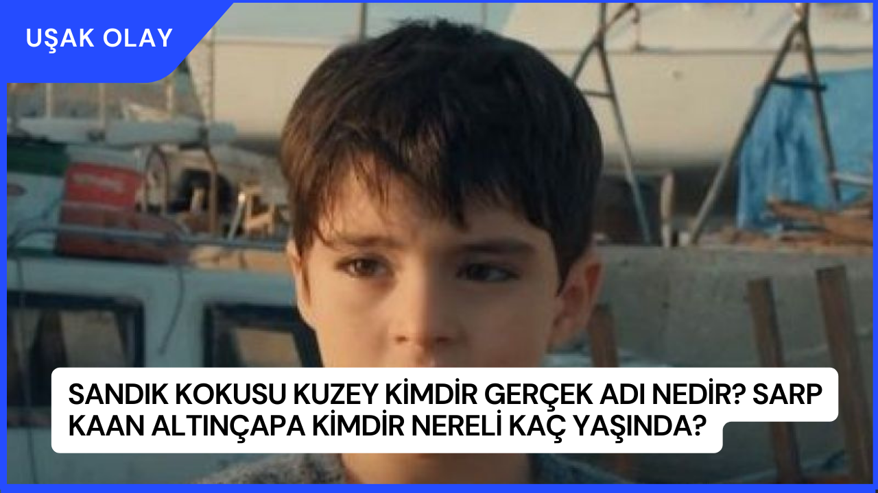Sandık Kokusu Kuzey Kimdir Gerçek Adı Nedir? Sarp Kaan Altınçapa Kimdir Nereli Kaç Yaşında?