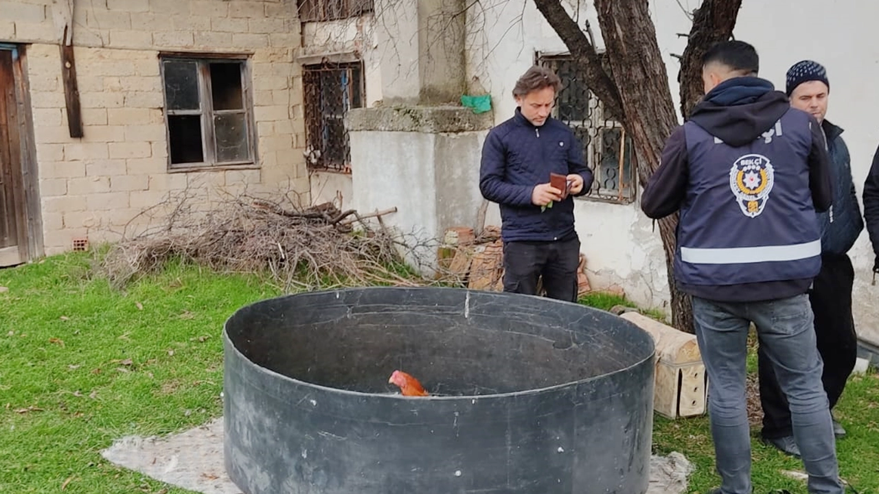 Horoz Dövüştüren 8 Kişi Yakalandı