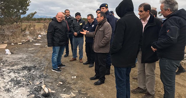 UŞAK'TA ÇOK SAYIDA SOKAK KÖPEĞİ ÖLÜ BULUNDU