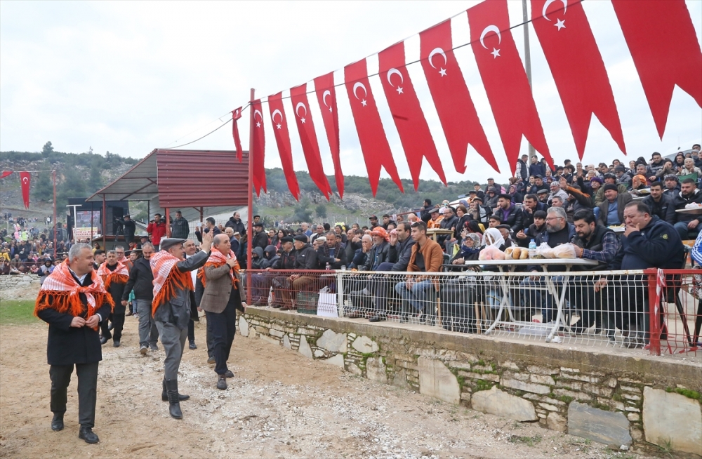 AK Parti Muğla Büyükşehir Belediye Başkan Adayı Ayaydın deve güreşi festivalini izledi