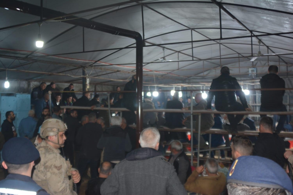 horoz dövüştürenlere ceza yağdı