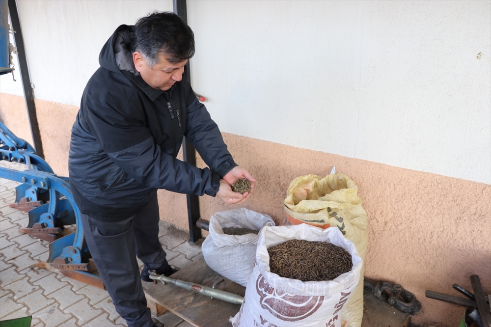 Dumlupınar Üniversitesinin organik atıkları pelete dönüştürülüyor