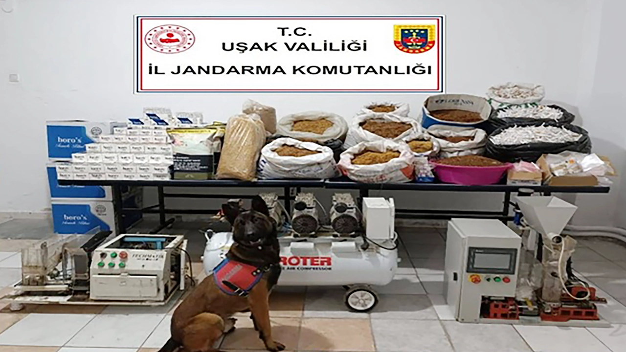 Jandarmadan Kaçak Tütün Ticaretine Darbe