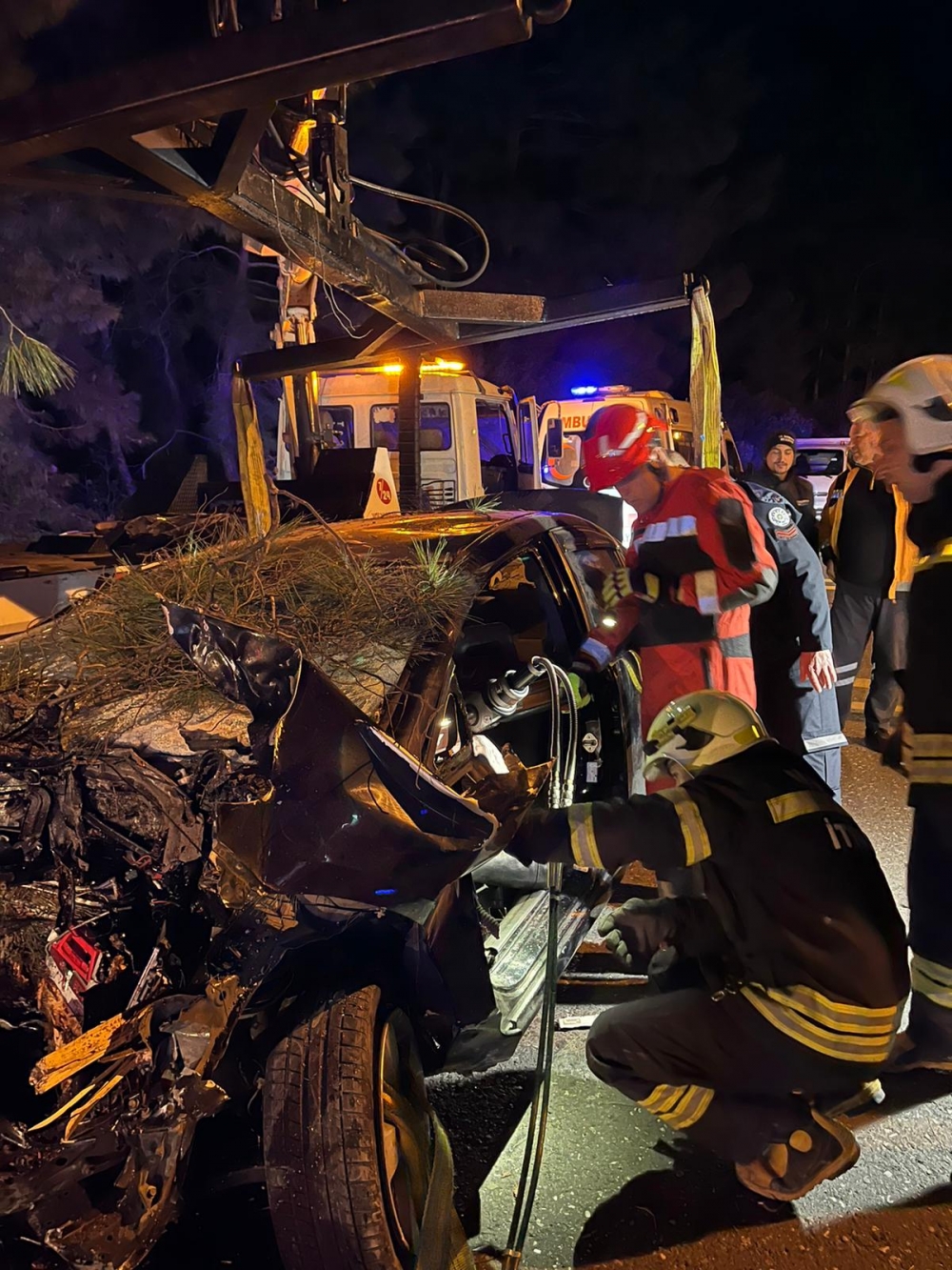 Muğla'da Ağaca Çarpan Sürücü Mustafa Oğuz Utlu Öldü