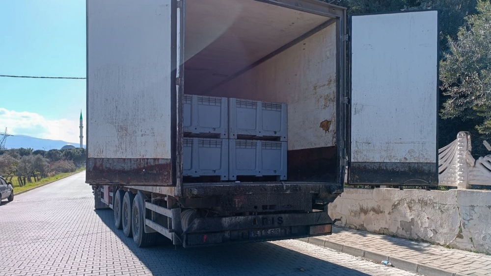 Nazilli'de tırın dorsesindeki bir ton balık yola saçıldı