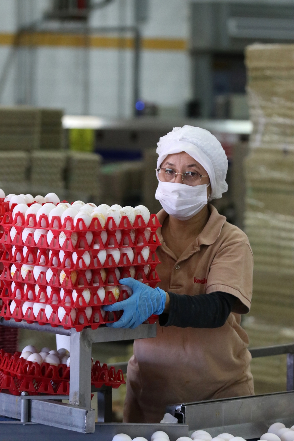 Kanatlı sektörü ihracatta milyar dolar seviyesini korumak istiyor