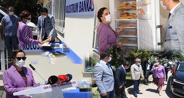 VALİ FUNDA KOCABIYIK; “BUZAĞI ÖLÜMLERİNİ AZALTMAK VE SALGIN HASTALIKLARDAN DOLAYI ÖLÜMLERİ ENGELLEMEK İÇİN GELİŞTİRİLEN 2 PROJEYİ HAYATA GEÇİRDİK”