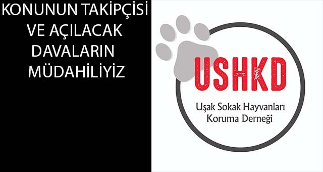 UŞAK'IMIZDA SOKAK KÖPEĞİNİ  TÜFEKLE VURAN DOKTORA  KARŞI İSYANIMIZ VE HAKKINDA TALEBİMİZ