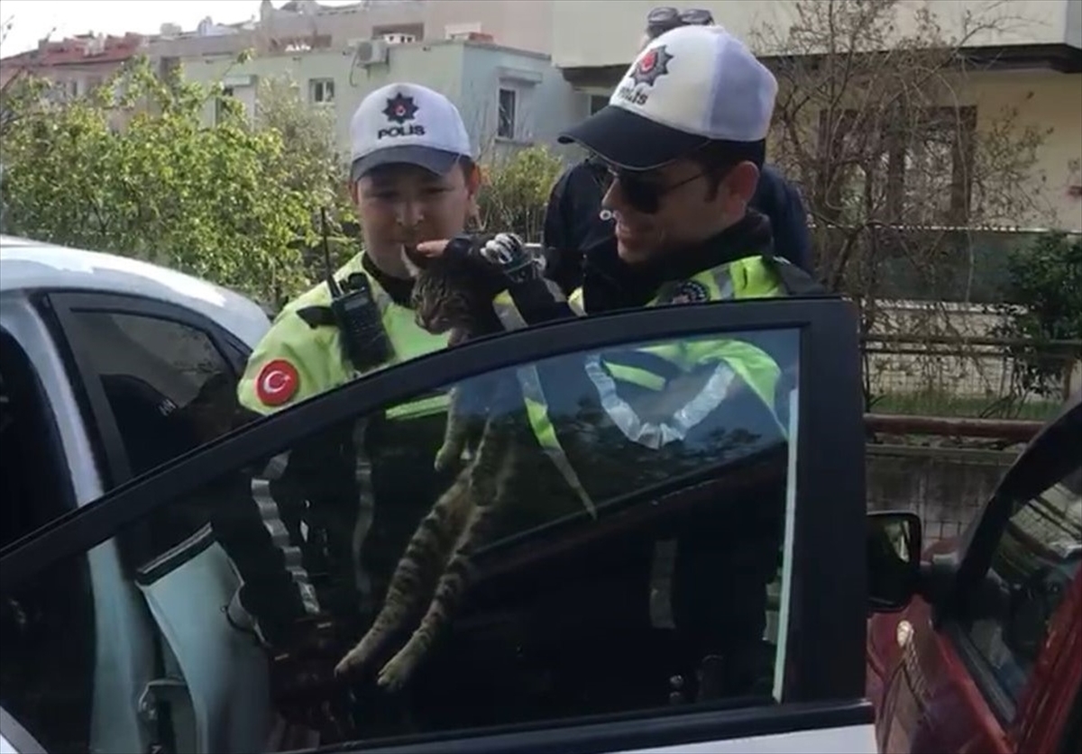 Araçta 2 gün mahsur kalan kedi kurtarıldı