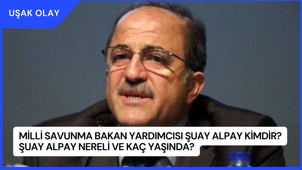 Milli Savunma Bakan Yardımcısı Şuay Alpay Kimdir? Şuay Alpay Nereli ve Kaç Yaşında?