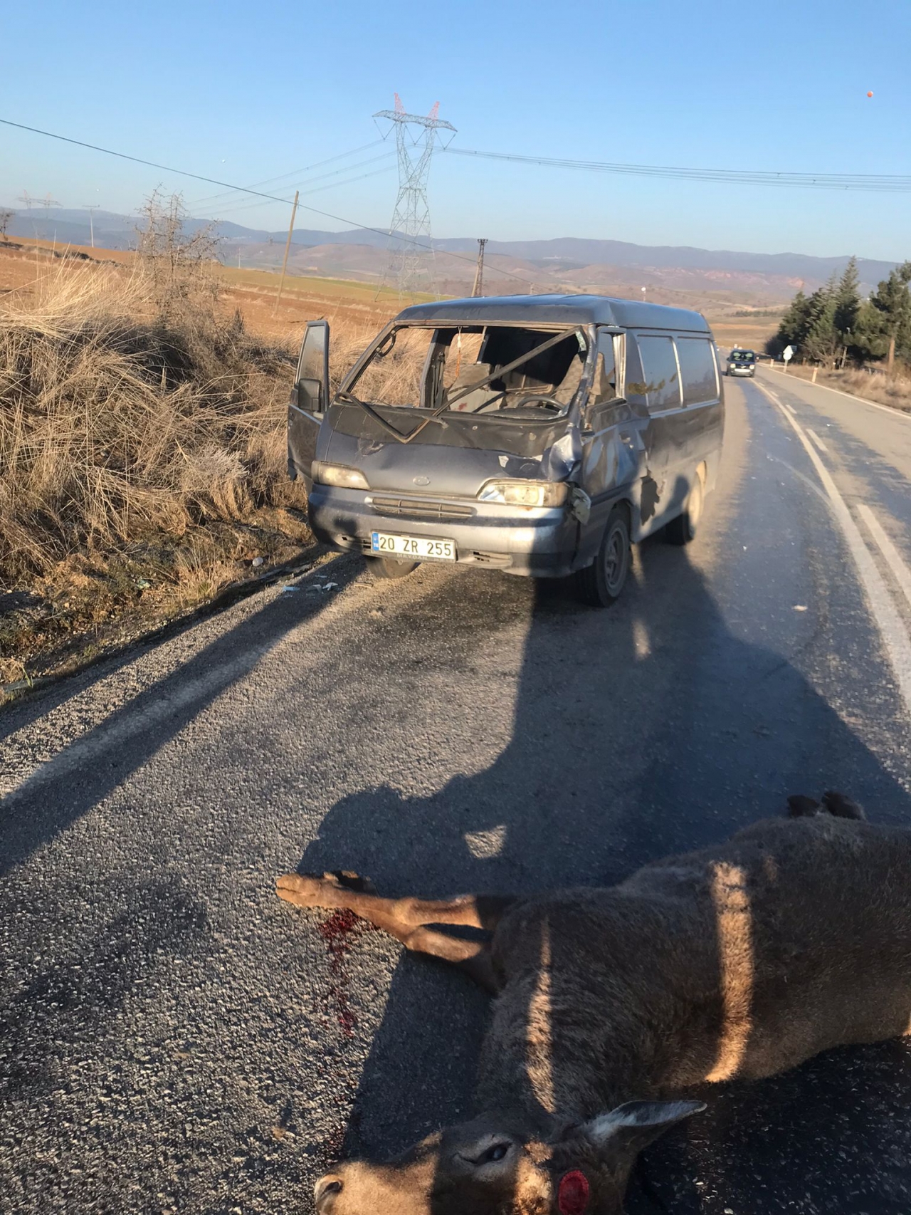 Afyonkarahisar'da Minübüs Geyiğe Çarptı: 2 Yaralı