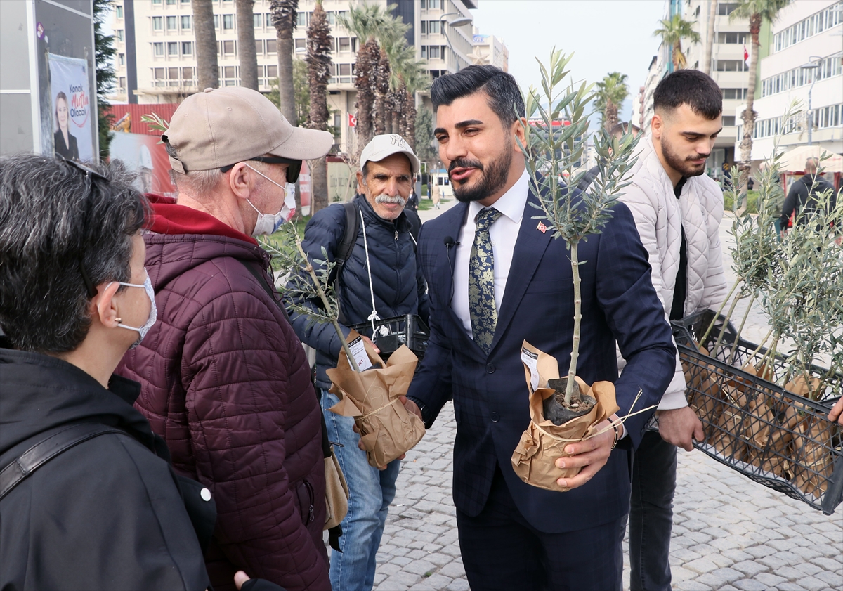 İzmir'de bağımsız belediye başkan adayı zeytin fidesi dağıtıp oy istedi