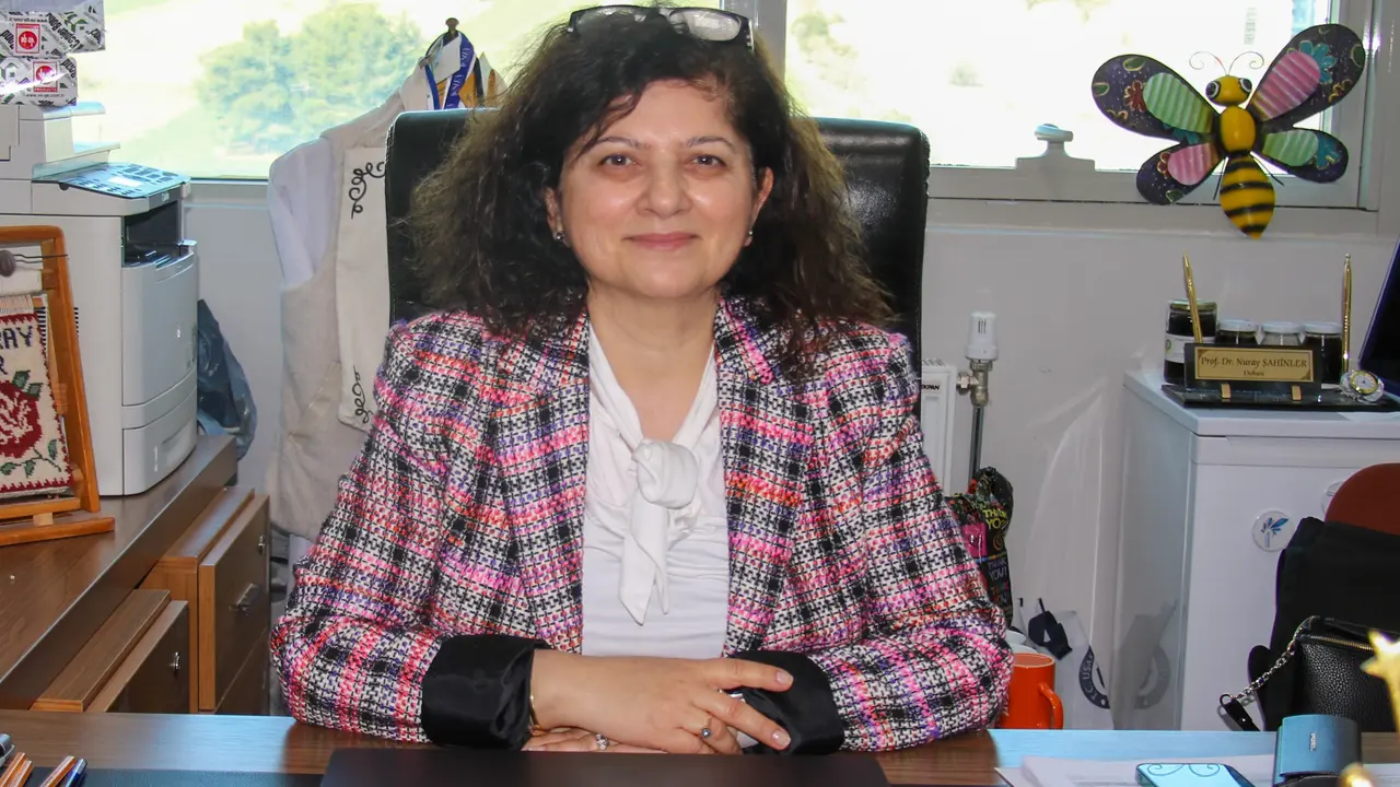 Uşak’ta Arılar Kış Uykusuna Yatamadı Bal Fiyatları Uçacak