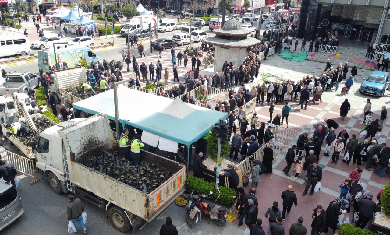 Nazilli'de üreticilere 20 bin incir fidanı dağıtıldı