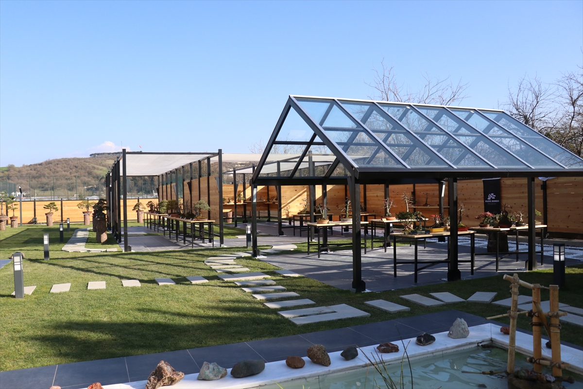 Türkiye'nin ilk "bonsai müzesi" Yalova'da açıldı