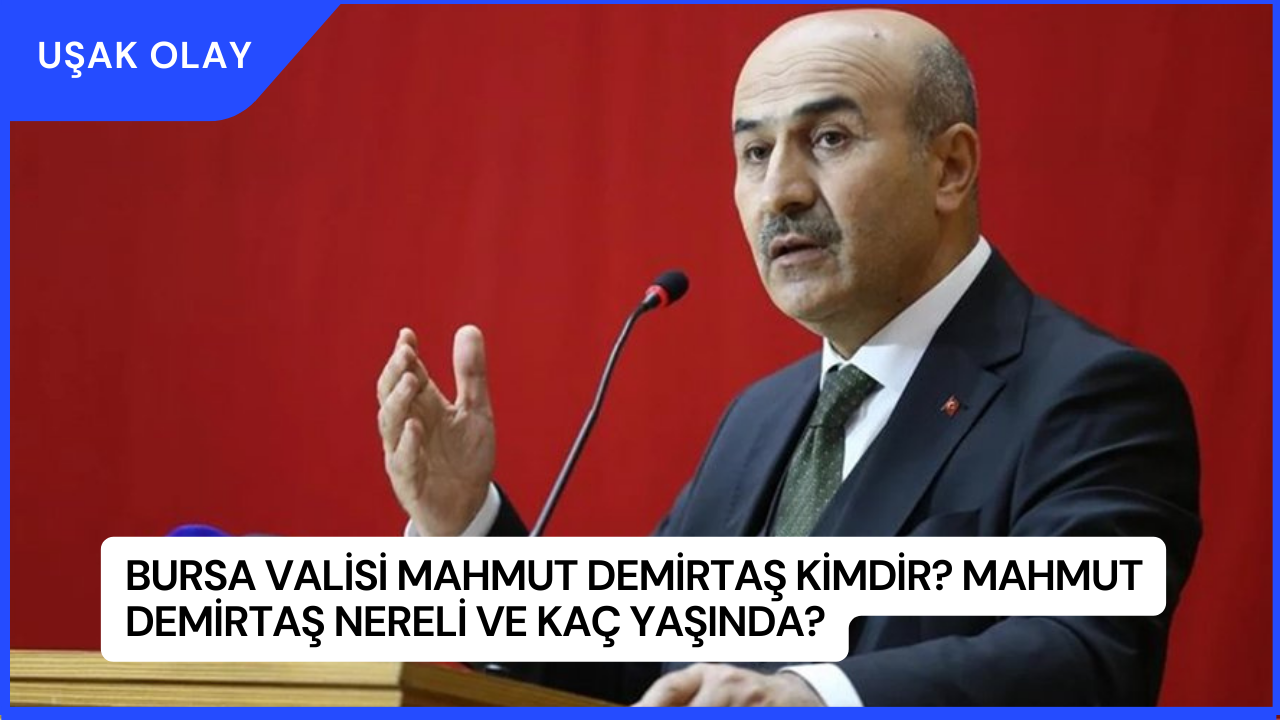 Bursa Valisi Mahmut Demirtaş Kimdir? Mahmut Demirtaş Nereli ve Kaç Yaşında?