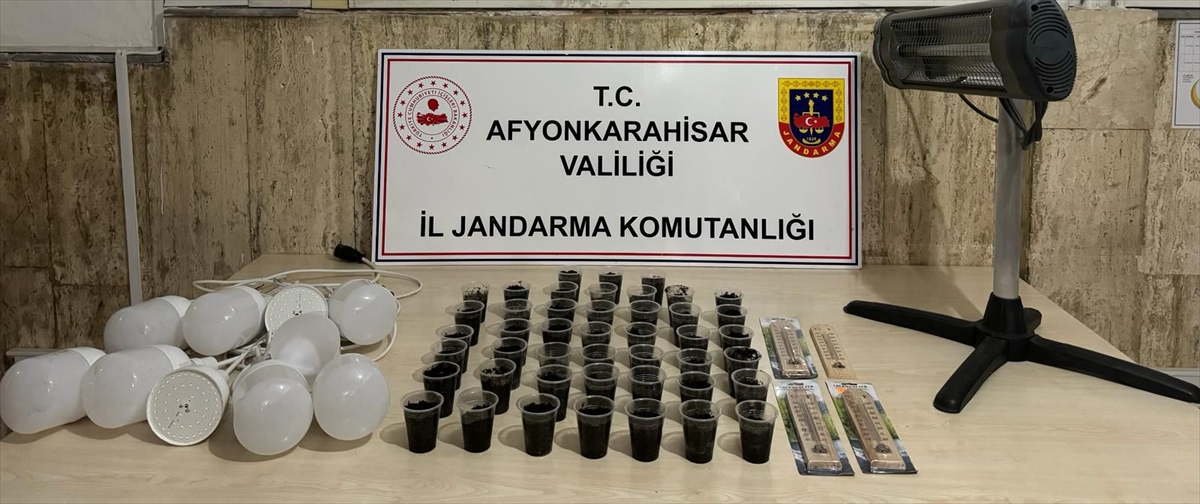Afyonkarahisar'da silahla yaralanan şüphelinin evinde kenevir ele geçirildi