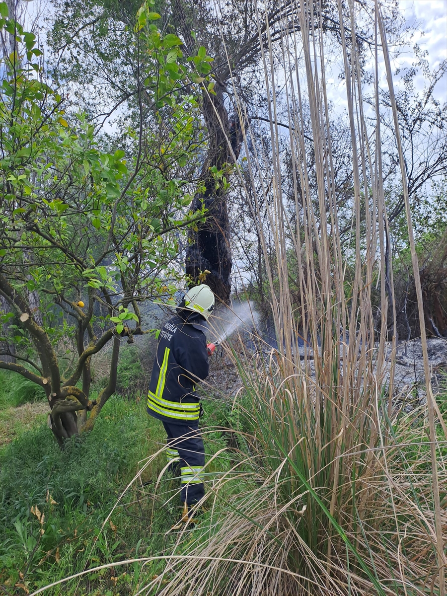 Muğla'da bahçede çıkan anız yangını söndürüldü