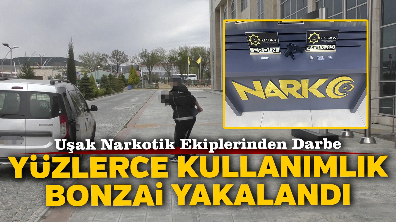 Uşak'ta Yüzlerce Kullanımlık Sentetik Bonzai Ele Geçirildi
