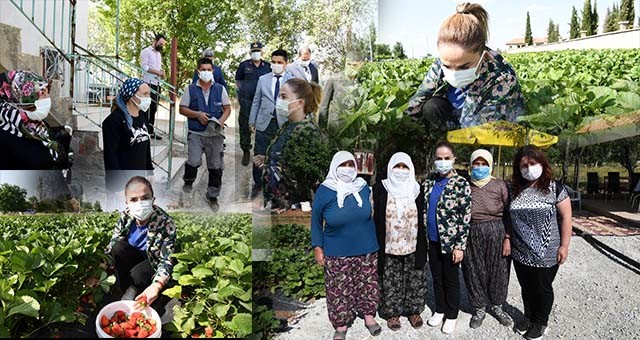 VALİ FUNDA KOCABIYIK SİVASLI İLÇESİNDE TARIM ÜRETİCİLERİNİ ZİYARET ETTİ