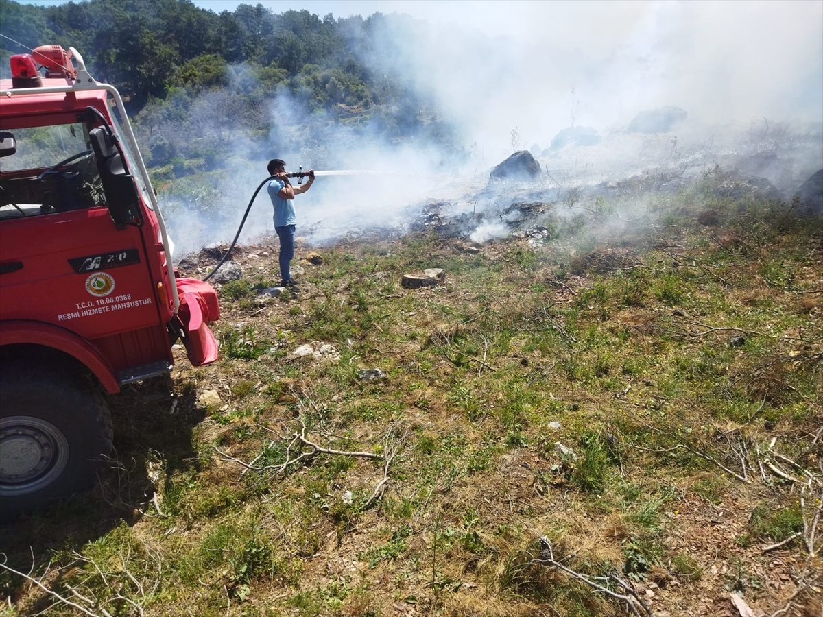 Muğla'da çıkan orman yangını söndürüldü