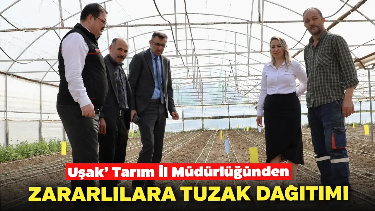 Uşak’ Tarım İl Müdürlüğünden Zararlılar İçin Tuzak Dağıtımı Yapıldı
