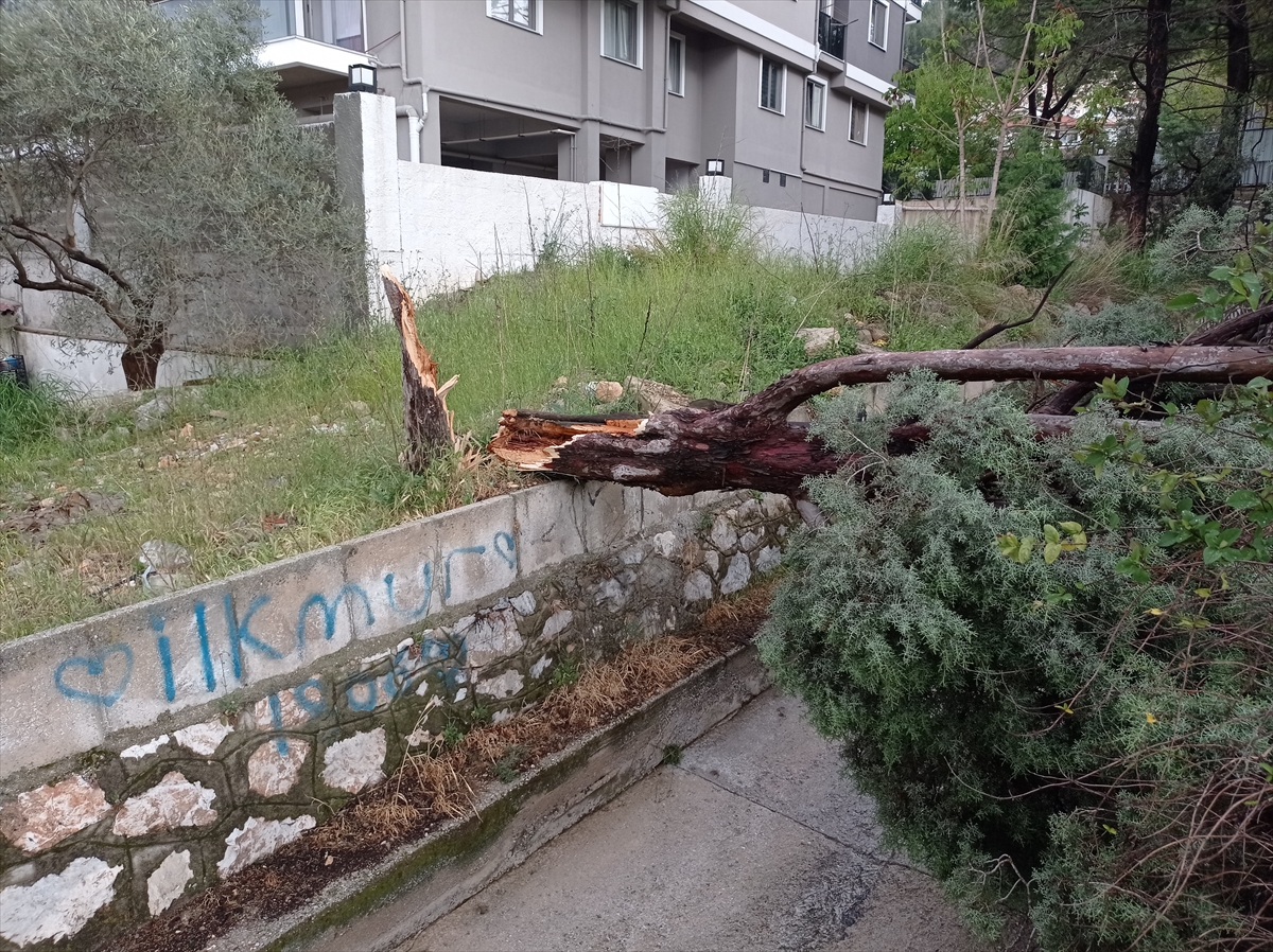 Muğla'da kuvvetli rüzgar ve sağanak yaşamı olumsuz etkiledi