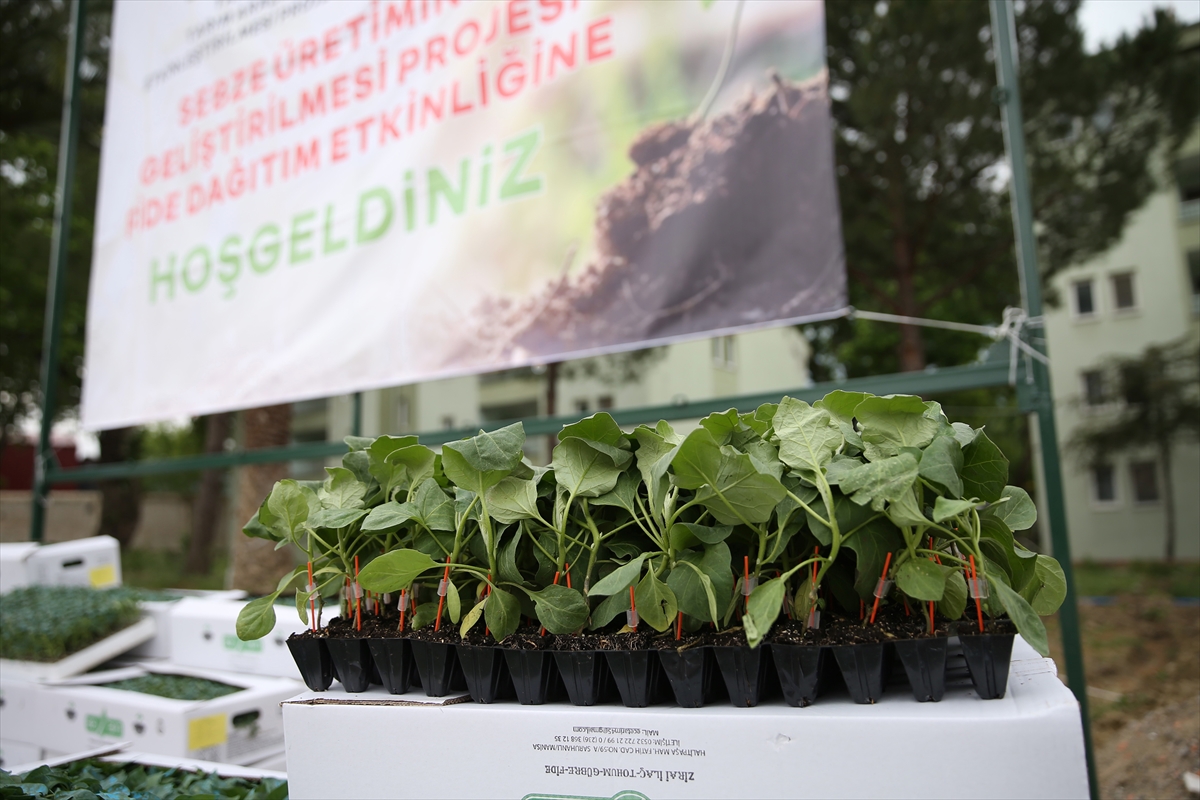 Tarım ve Orman Bakanlığından Manisalı üreticilere fide desteği