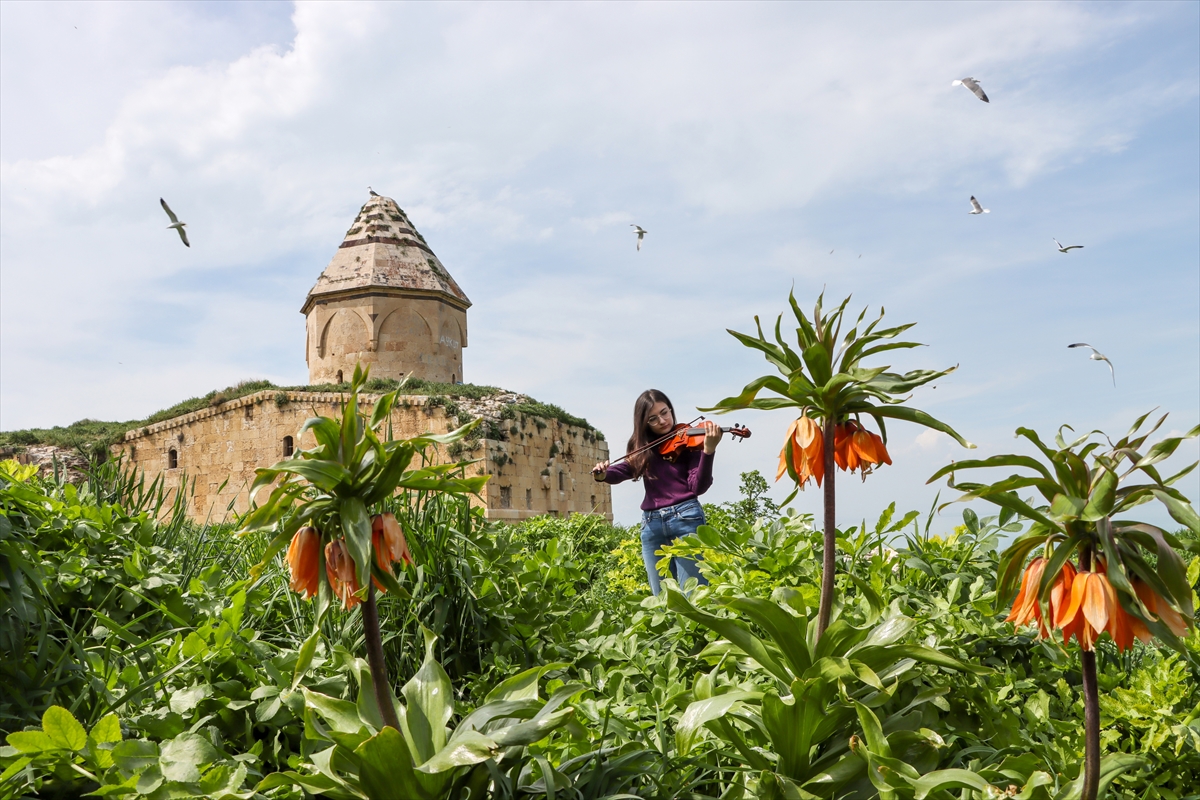 Van'da fotoğraf tutkunları ilkbaharda renklenen Çarpanak Adası'nı görüntüledi