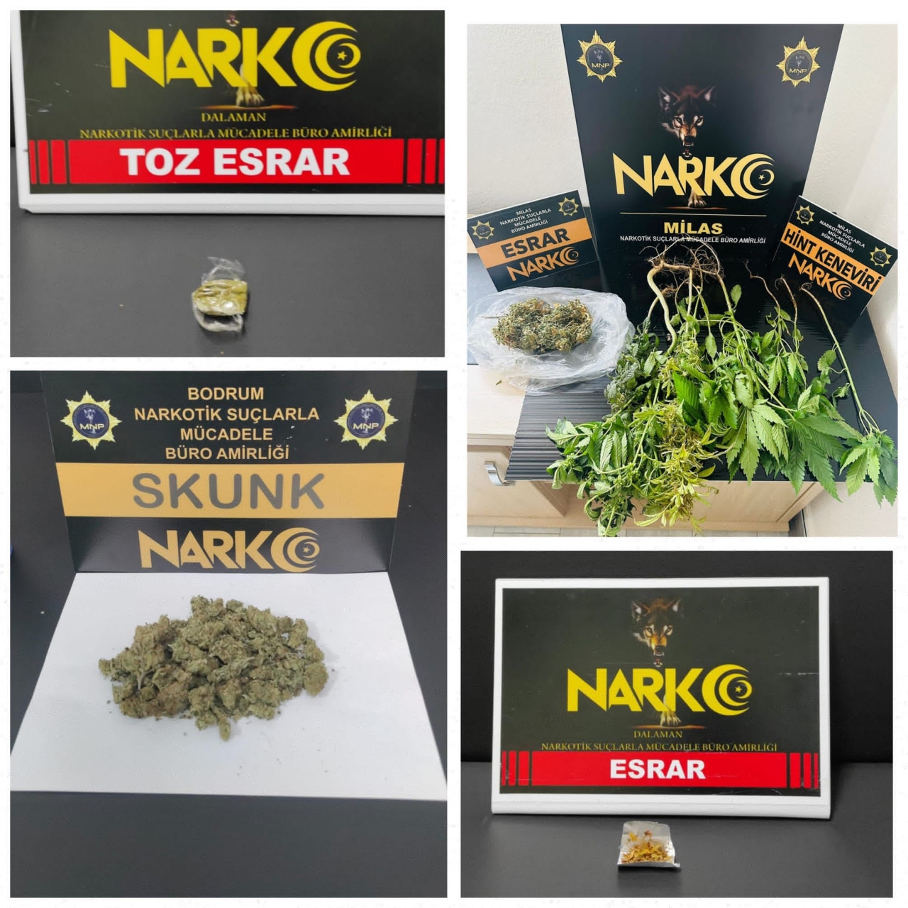 Muğla'da uyuşturucu operasyonunda 8 şüpheli yakalandı