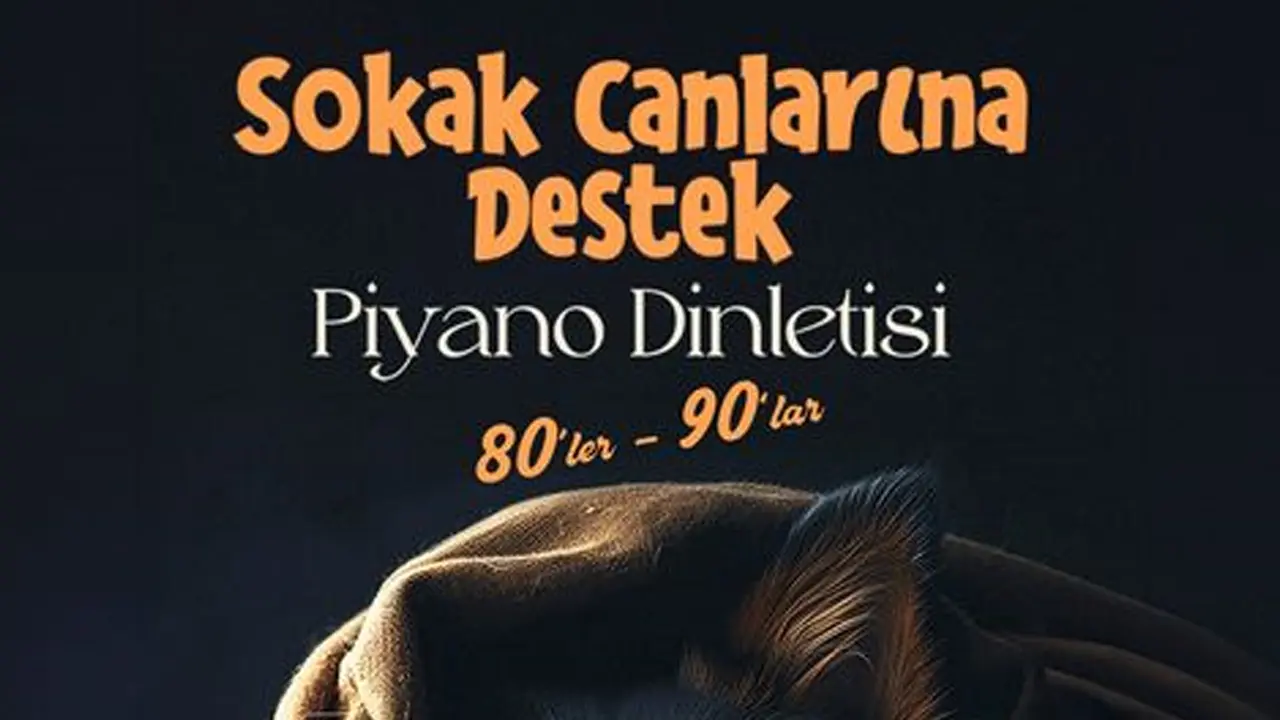 Sokak Hayvanları İçin Piyano Konseri