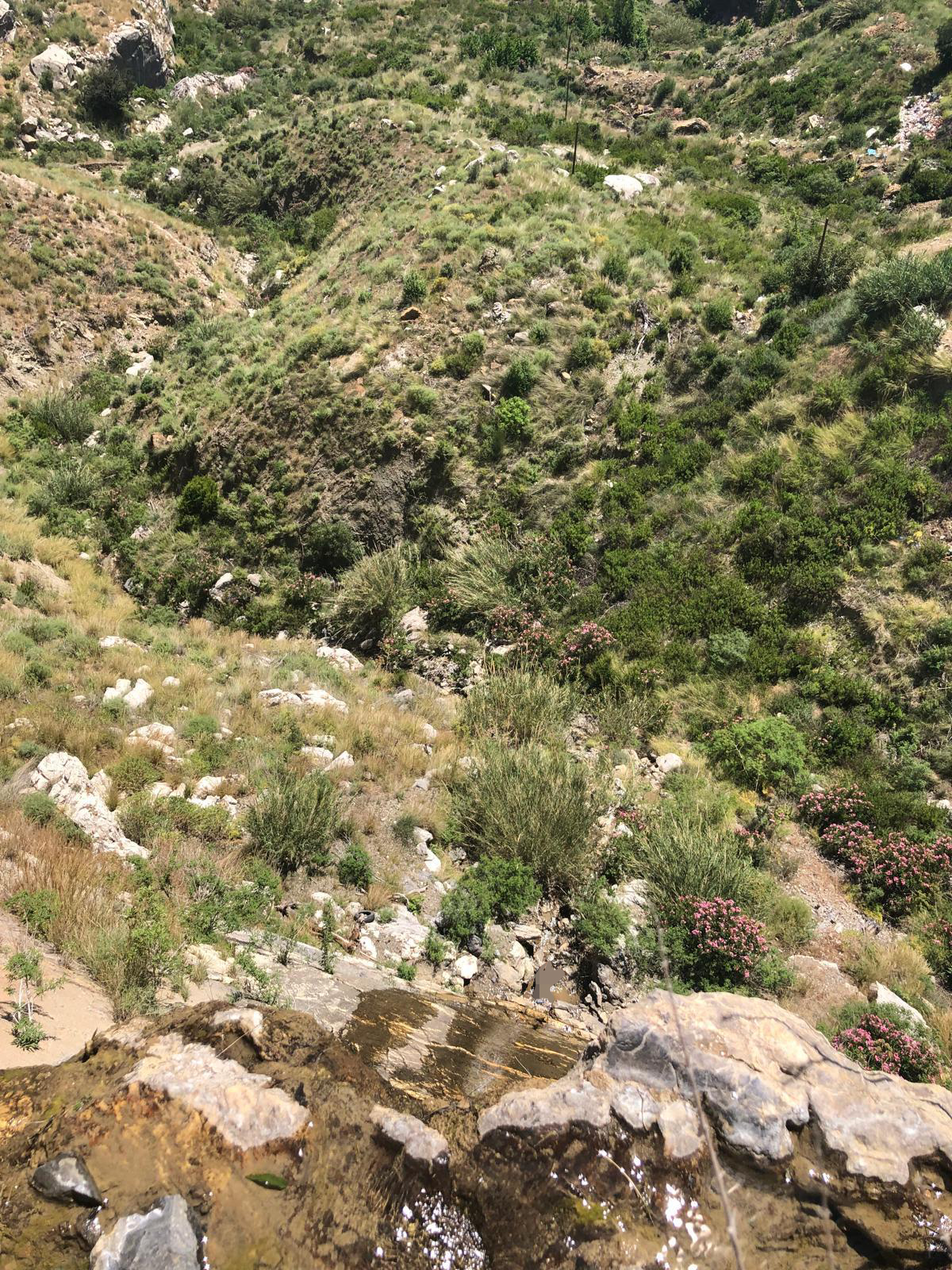 Muğla'da kayıp olarak aranan kişi ölü bulundu