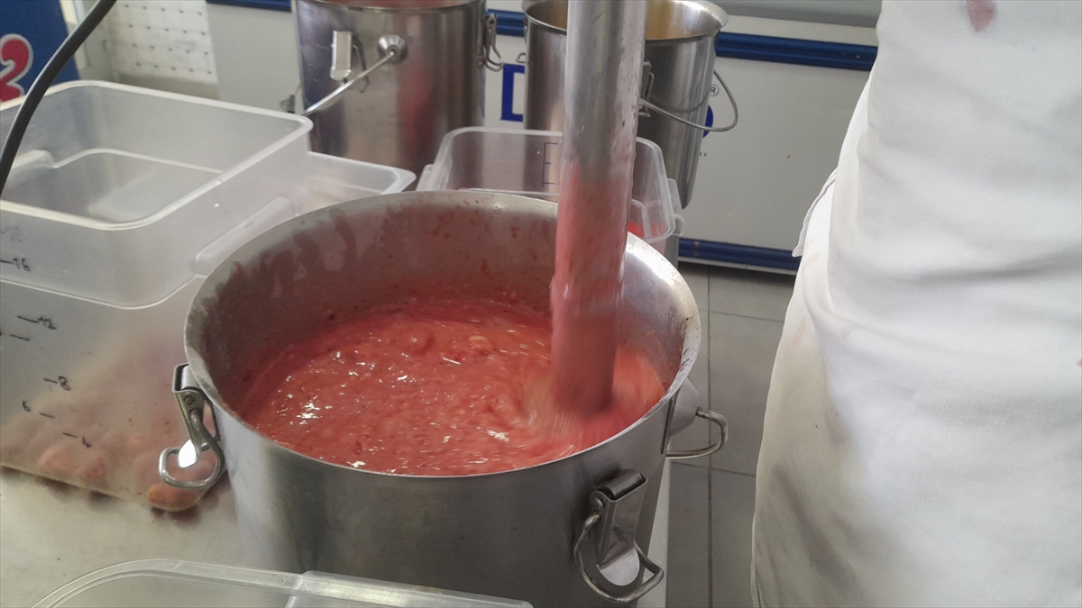 Dalaman'da dondurma üreticisi müşterilerine karpuzlu vegan dondurma hazırlıyor