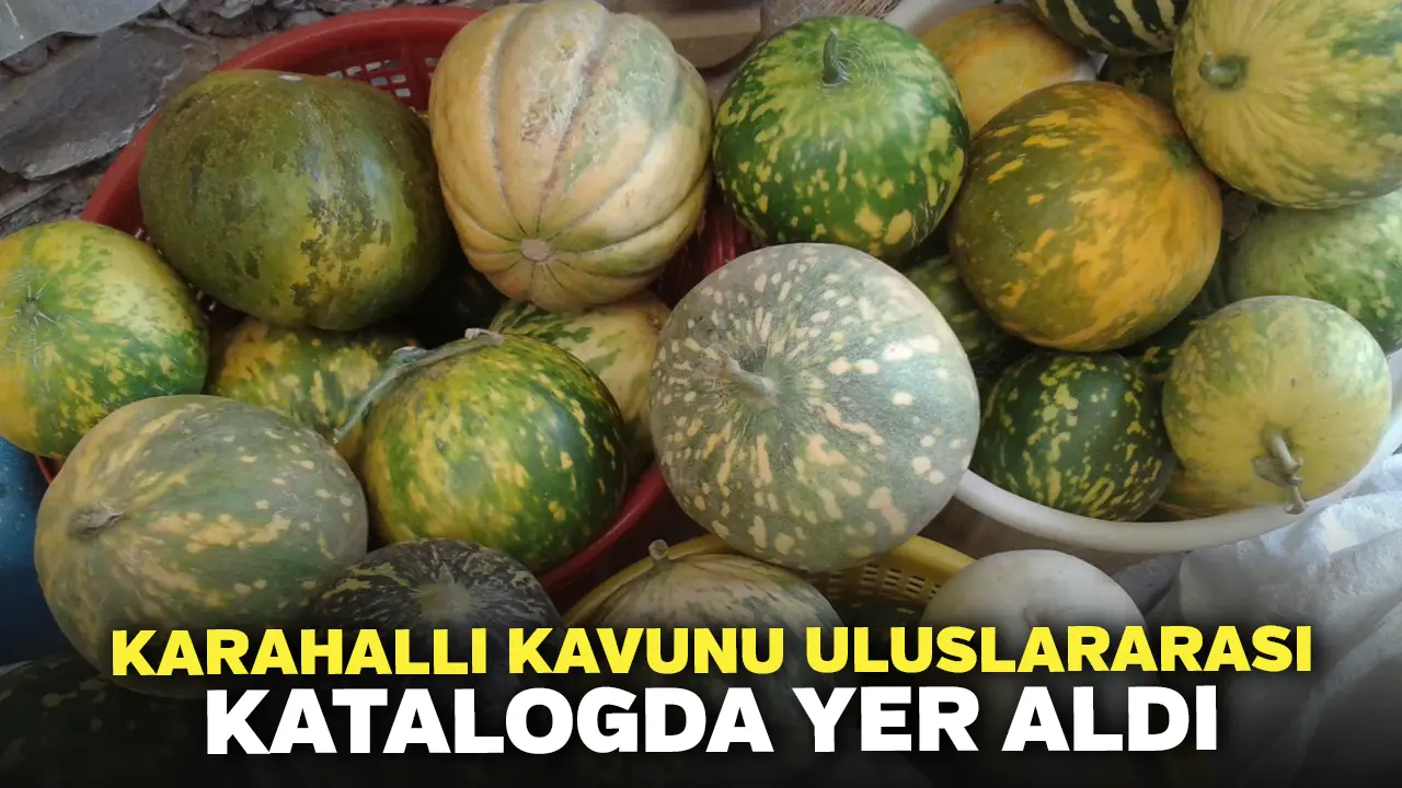 Karahallı Kavunu Uluslararası Katalogda Yer Aldı