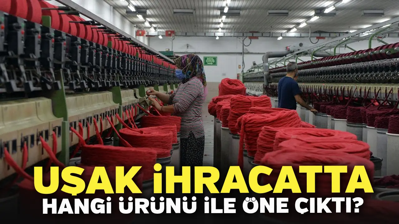 Uşak İhracatta Hangi Ürünü İle Öne Çıktı?