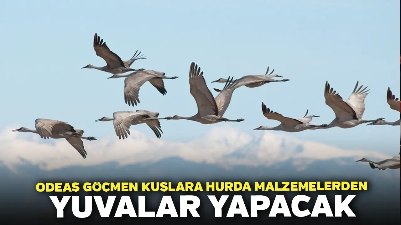 ODEAŞ Göçmen Kuşlara Hurda Malzemelerden Yuvalar Yapacak