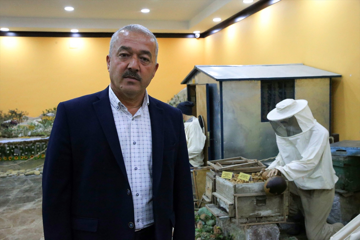 Muğla'da çam pamuklu böceği yeniden görülmeye başlandı, balda rekolte beklentisi arttı