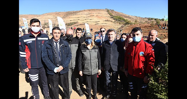 UŞAK'TA GEÇEN YIL ÇIKAN YANGINDA ZARAR GÖREN CİĞERDEDE KÖYÜ YAKINLARINDAKİ 155 HEKTAR ALANDA FİDAN DİKİLDİ