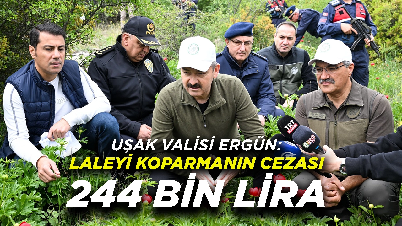 Uşak Valisi Ergün: Laleyi Koparmanın Cezası 244 Bin TL