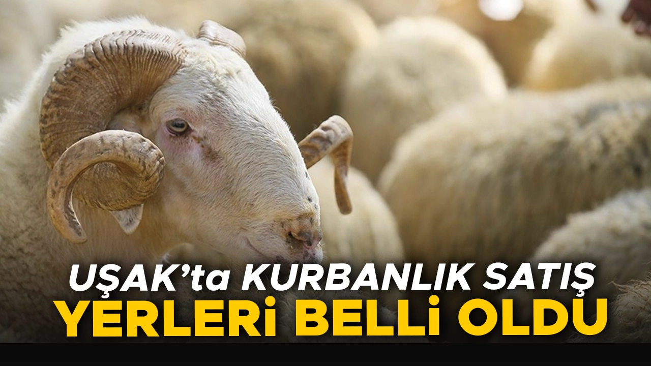 Uşak’ta Kurban Satış Yerleri Belirlendi