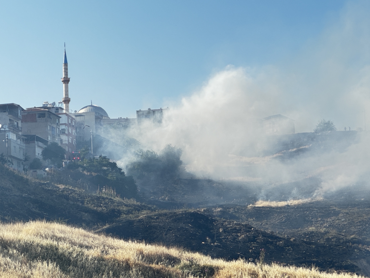 Karşıyaka'da otluk alandaki yangın söndürüldü
