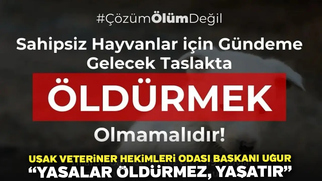 Uşak Veteriner Hekimleri Odası Başkanı Uğur “Yasalar Öldürmez, Yaşatır”