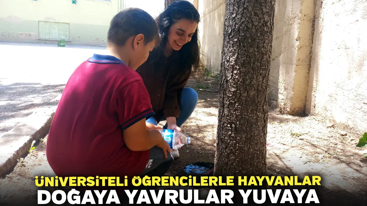 Üniversiteli Öğrencilerle Hayvanlar Doğaya Yavrular Yuvaya